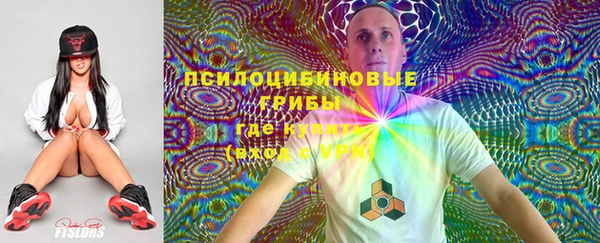 дживик Вязники
