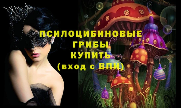 дживик Вязники
