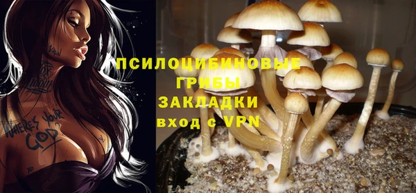 мефедрон мука Вяземский