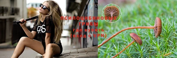 дживик Вязники